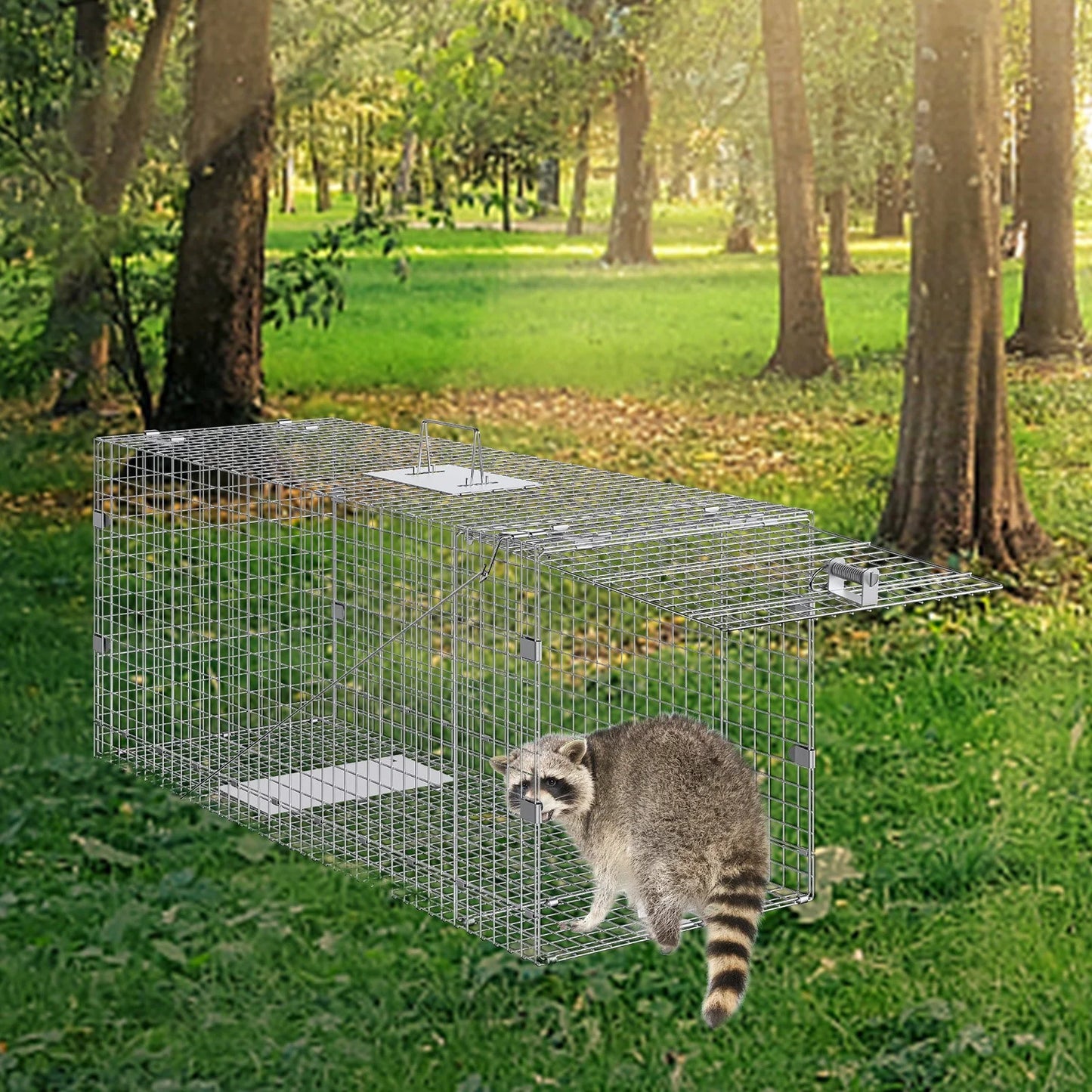 Humane Live Animal Trap – 50"x20"x26" Galvanized Iron, Foldable & Secure
