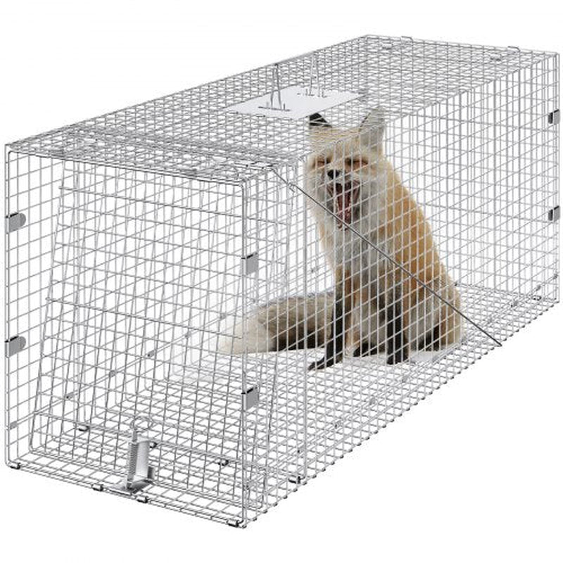 Humane Live Animal Trap – 50"x20"x26" Galvanized Iron, Foldable & Secure