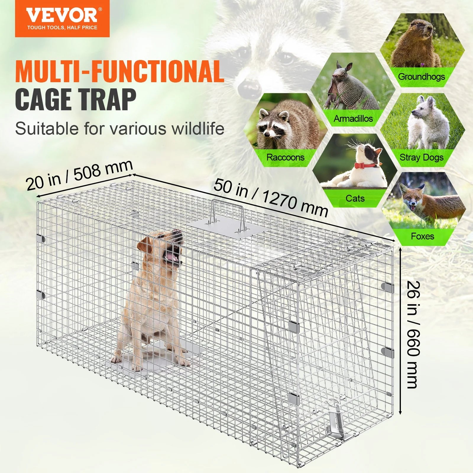 Humane Live Animal Trap – 50"x20"x26" Galvanized Iron, Foldable & Secure