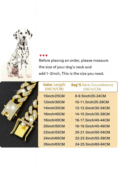 Elegant Gold Collar for Cats & Dogs