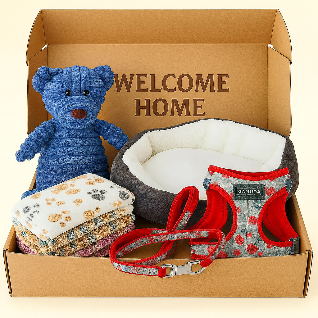 Welcome Home Bundle