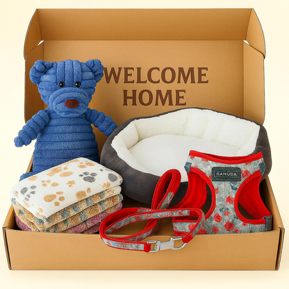 Welcome Home Bundle
