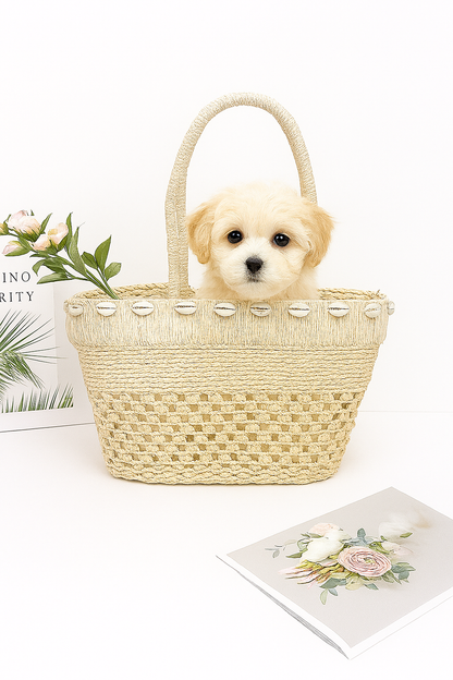 Sea Shell Iconic Faux Straw Tote Basket