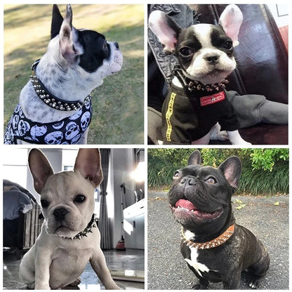 Adjustable Spiked Leather Dog Collar – Studded & Riveted for Pets